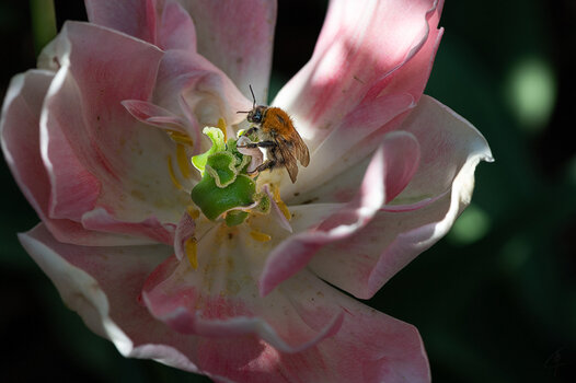 Z7H_0129.jpg