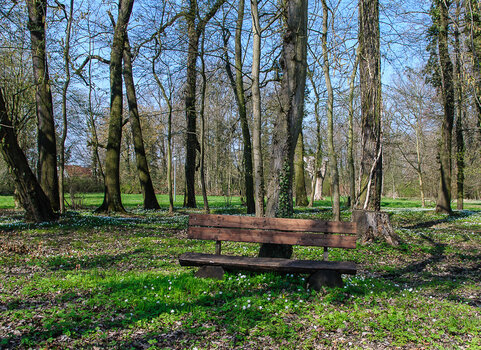 DSC_1166.JPG