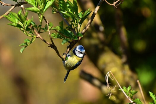 DSC_0138n.JPG