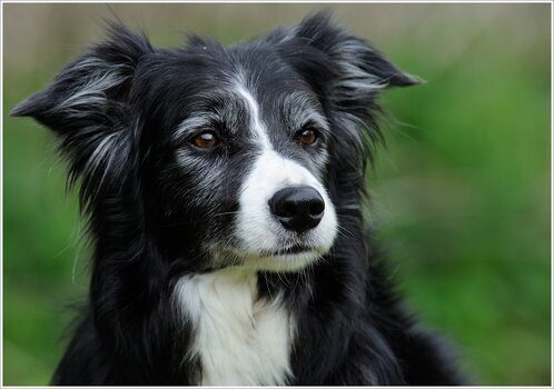 fredy.jpg