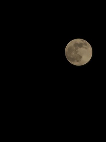 20210426_214835.jpg