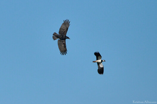 AuerRied-Apr 24 2021-260.jpg