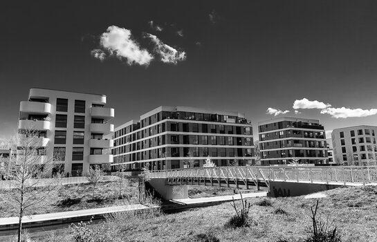 DSC_1386_DxO.JPG