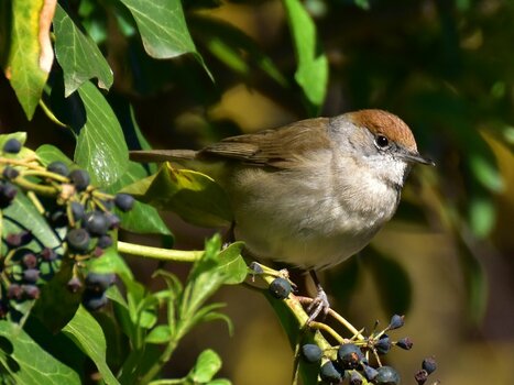 DSC_0393n.JPG