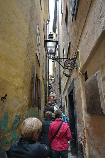 DSC_4157.JPG DSC_4157.JPG