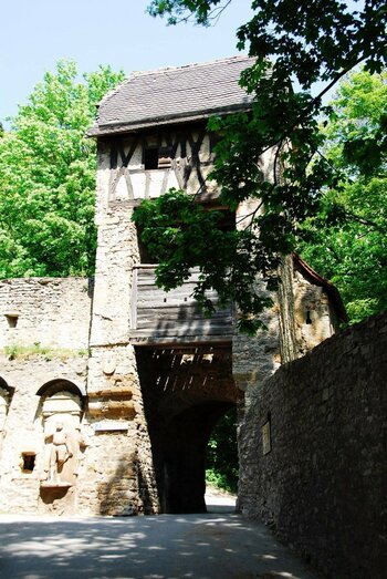 2021-05-04_09-42-00.jpg