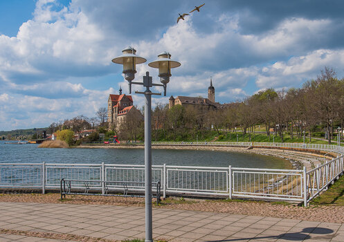 750_9611.JPG