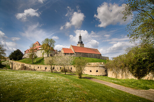 750_9528.JPG