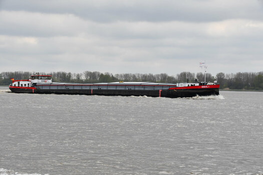 DSC_2244_bearbeitet-1.jpg