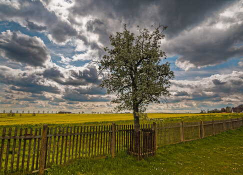 750_9566_DxO.JPG