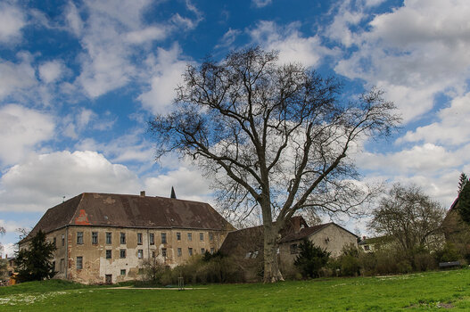 DSC_1266.JPG