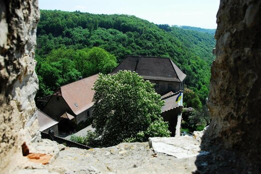 2021-05-07_09-20-20.jpg