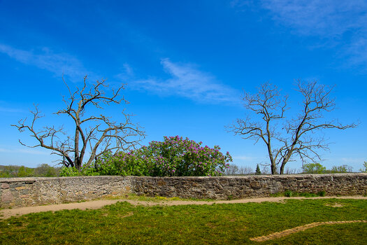 750_9786.JPG