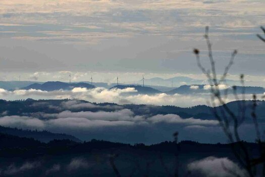 Hornisgrinde_DSC_8829.jpg Hornisgrinde_DSC_8829.jpg