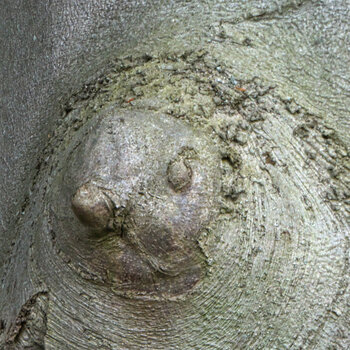 TSF 2021-104.jpg