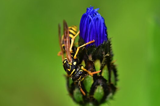 DSC_1313n.JPG