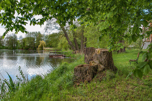 750_9878-Bearbeitet.JPG