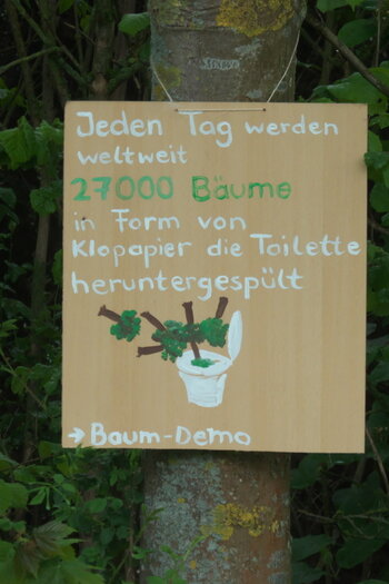 P1100269.jpg