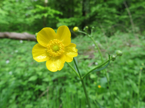 IMG_0099 (1).jpeg