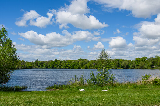 750_0023.JPG