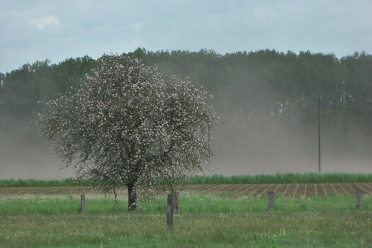 TSF 2021-113.jpg