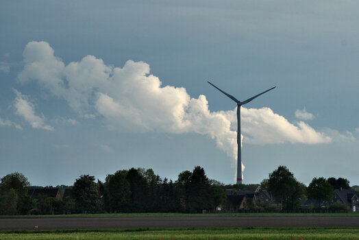 TSF 2021-119.jpg