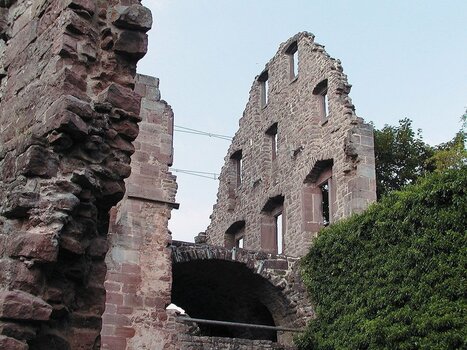 2021-05-27_09-00-49.jpg