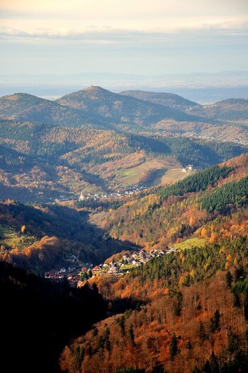 Kaltenbronn kleinForum DSC_1514.jpg