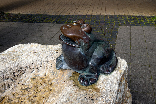 frosch1_00001frosch1.jpg