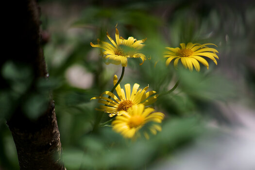 DSC08339.jpg