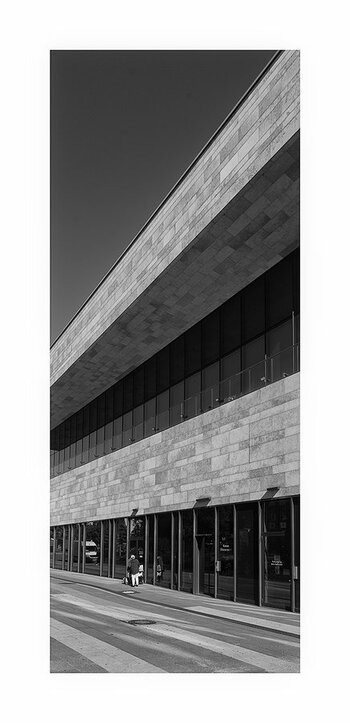 _DSC6336sw.jpg