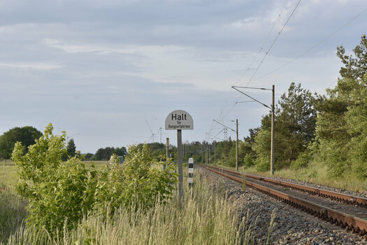 20210601_22_HfRf_web.JPG