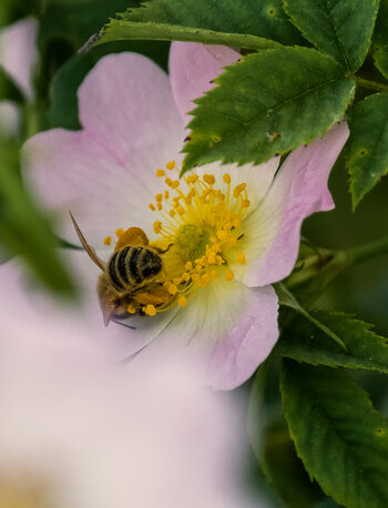 750_0313-Bearbeitet.JPG