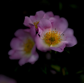 750_0312-Bearbeitet.JPG