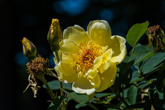 750_0478_DxO.JPG