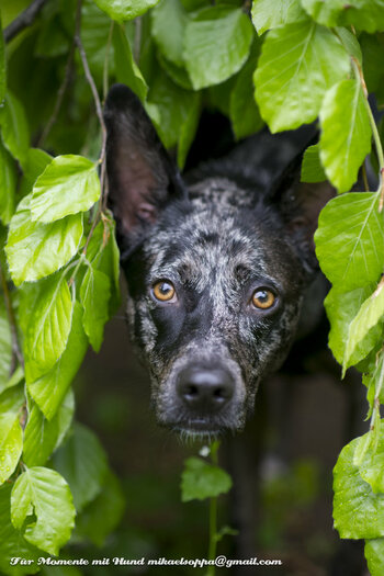37A4695B-7CAD-4A12-959A-B45BD5159693.jpeg