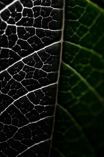79241E59-FC1A-45FF-B1D8-2E8CEE8AD5F5.jpeg