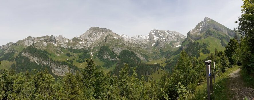 20210619_120136.jpg