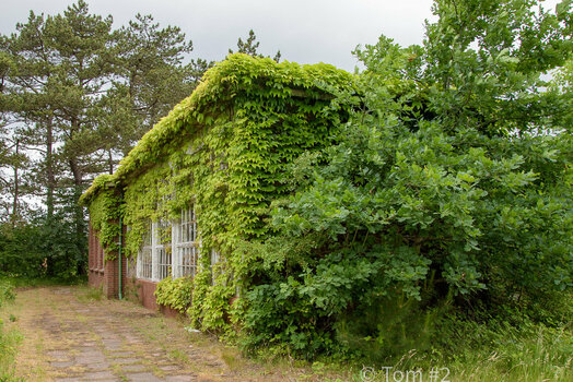 seehospital  (9).jpg