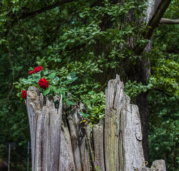 750_0753-Bearbeitet.JPG