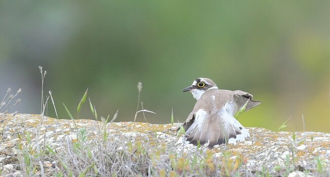 D4S_0581.jpg