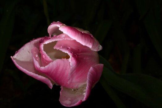 DSC_9552.jpg