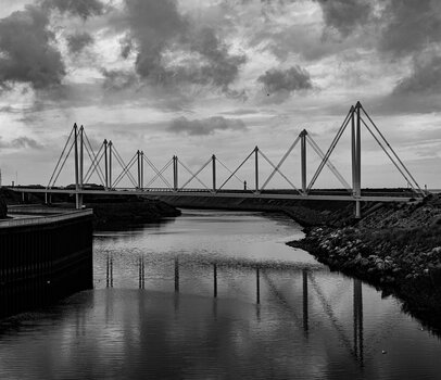 comp_DSC_6783.jpg