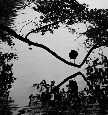 750_0820.JPG