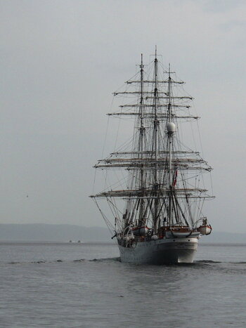 P6120574_1.jpg