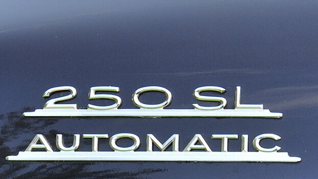 z_DSC0837_2650240.jpg