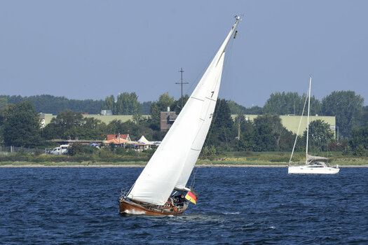7. Tag (29)_00001.jpg