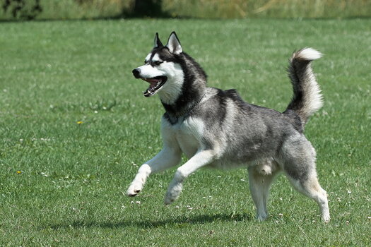 DFX_9083.jpg