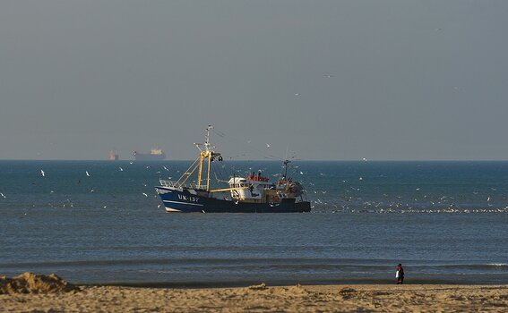 comp_comp_DSC_3010.jpg