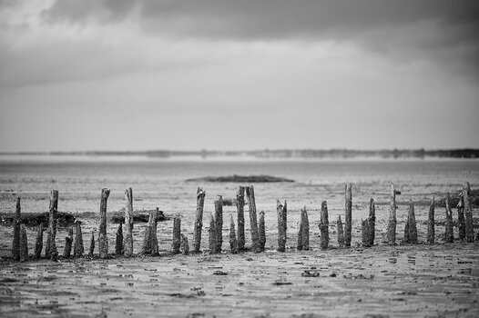 CC8572B1-8975-4085-8AD9-6FB1AD1079D1.jpeg